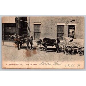 Postcard Virginia Lynchburg The Ox Team Oxen Pulling Wagon Town Real Estate 1910